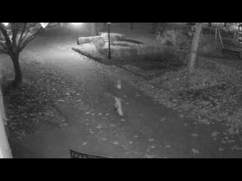 84 éves ismerősét rabolta ki