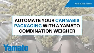 Automate Your Cannabis Packaging with a Yamato Combination Weigher
