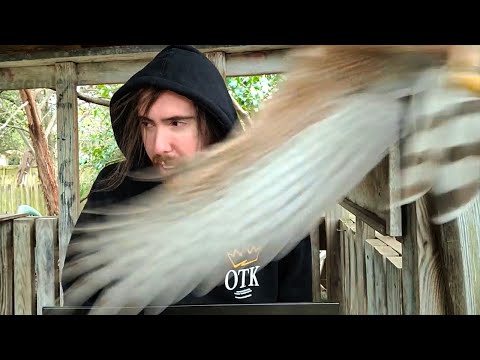 Blizzard sends their regards...