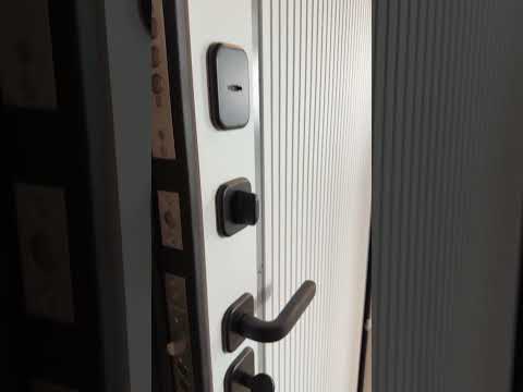 Входная дверь