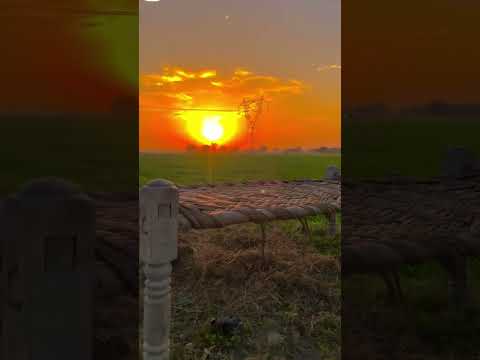 #nature #viral #mahika #happy #shorts