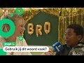 Het Belgische kinderwoord van het jaar is...