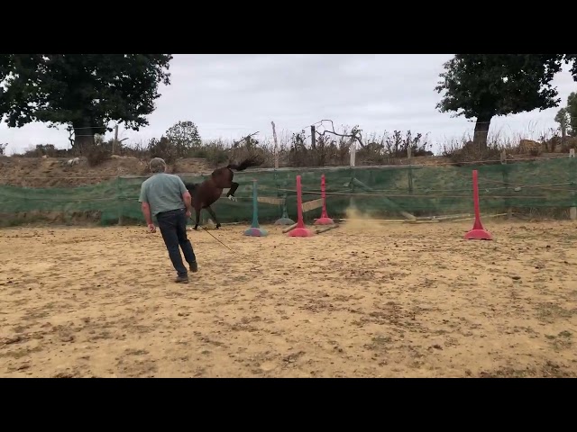 ponette,3 ans.