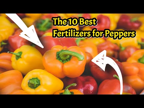 The 10 Best Fertilizers for Peppers