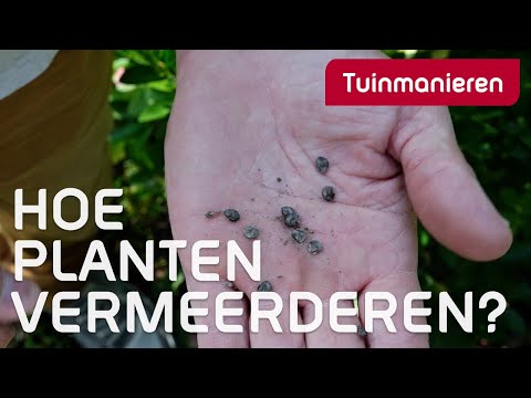 Vermeerderen en zaaien in de herfst