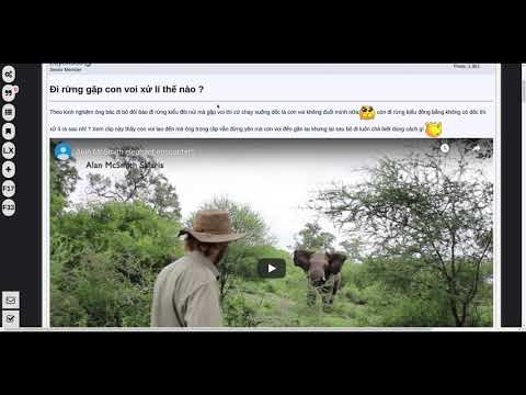 Item video thumbnail