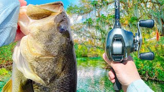Fishing An UNREAL Clear Water Lagoon - Fish Everywhere!