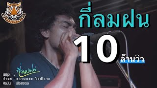 กี่ลมฝน – เสือสองเล