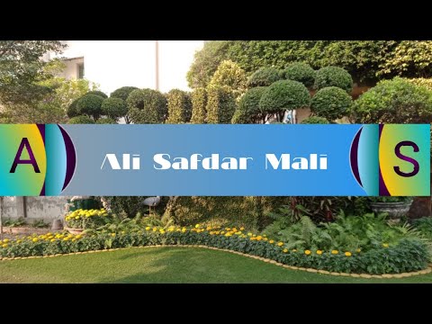 Safdar Ali mali | nature |
