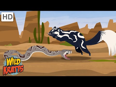 Creature Battles! | Every Creature Showdown Part 13| Wild Kratts