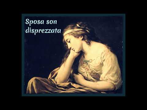 Vivaldi, A. /Giacomelli, G. "Sposa son disprezzata" - Ana Leonor Pereira