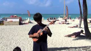 【akaka falls】 in waikiki beach