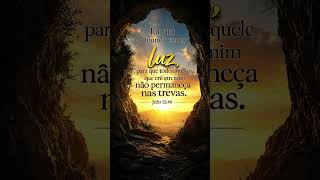 JOÃO 12:46