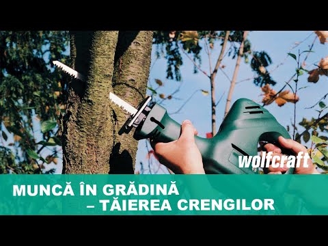 2295000_CV-Sabre-Saw-Blades-tree-trimming-rough-cut_PRO_MCP_ro_2019.mp4
