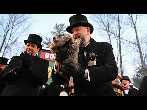 Video Thumbnail: Murmeltiertag: Punxsutawney Phil sagt noch sechs Wochen Winter voraus