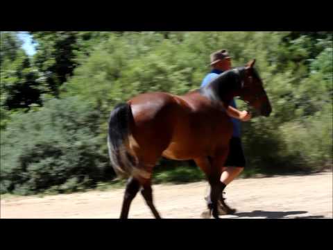 Betterthancheddar x Pure Velvet 2016 Lot 294