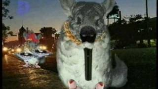 Rather Good Videos - Ice T - 99 Problems