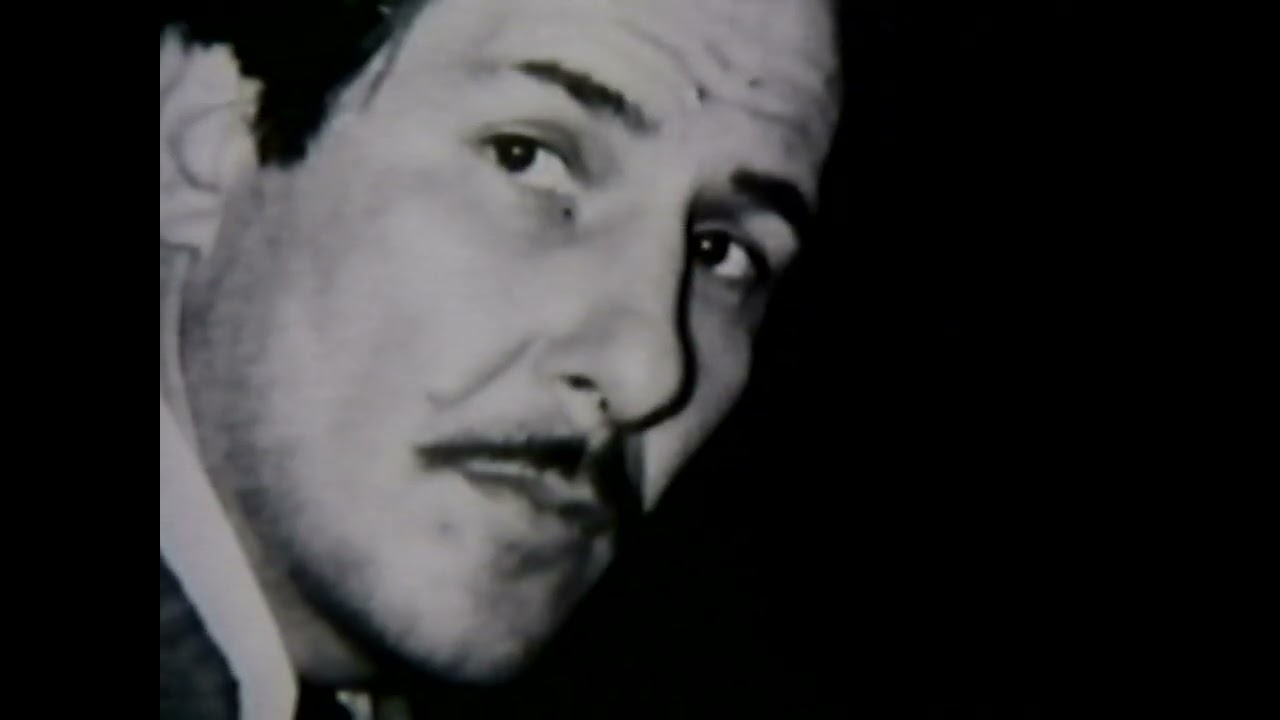 Franz Kline - Remembered