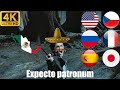 Harry Potter Expecto Patronum In Different Languages