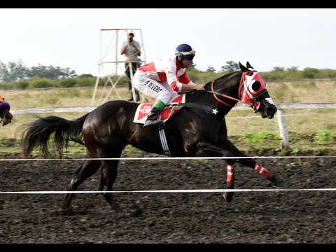 SONCITA SUBERET RDA 3ra serie Polla de Potrillos HARAS RINCON DEL AGUARA 02.08.2025
