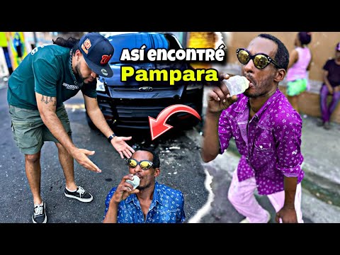 THE PAMPARA REAPPEARS AGAIN