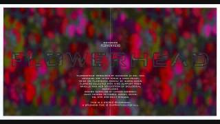 Datacide - Flowerhead (Full Album)