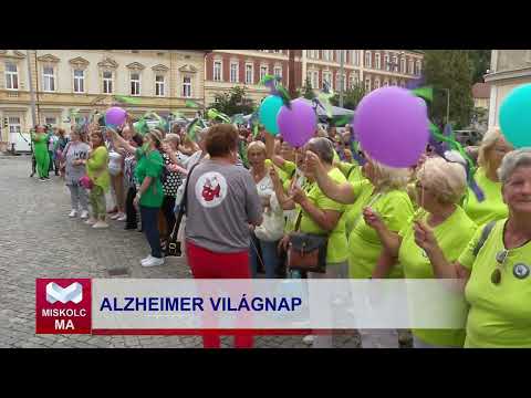 Videó előnézet