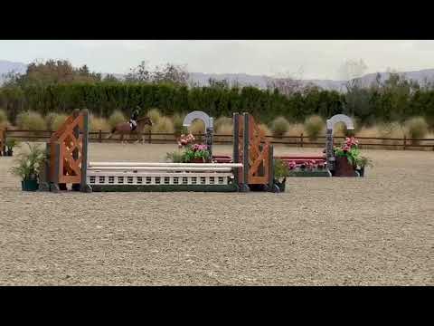 Coach video 1