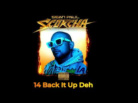 14 Sean Paul - Back It Up Deh