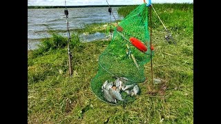 Рыбалка в челябинской области на карпа где клюет