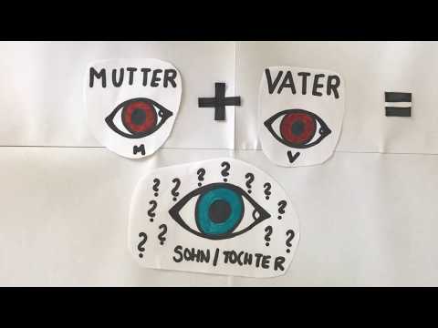 Warum haben Kinder bei der Geburt blaue Augen?