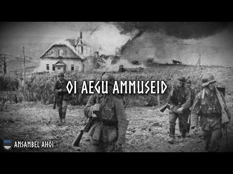 Ansambel AHOI - oi aegu ammuseid (Sõnadega)