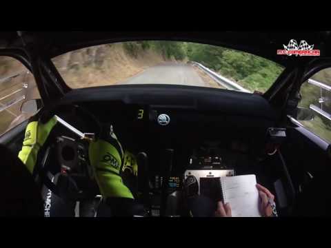 Rally coppa città di Lucca 2016  Michelini - Perna  Skoda Fabia R/5