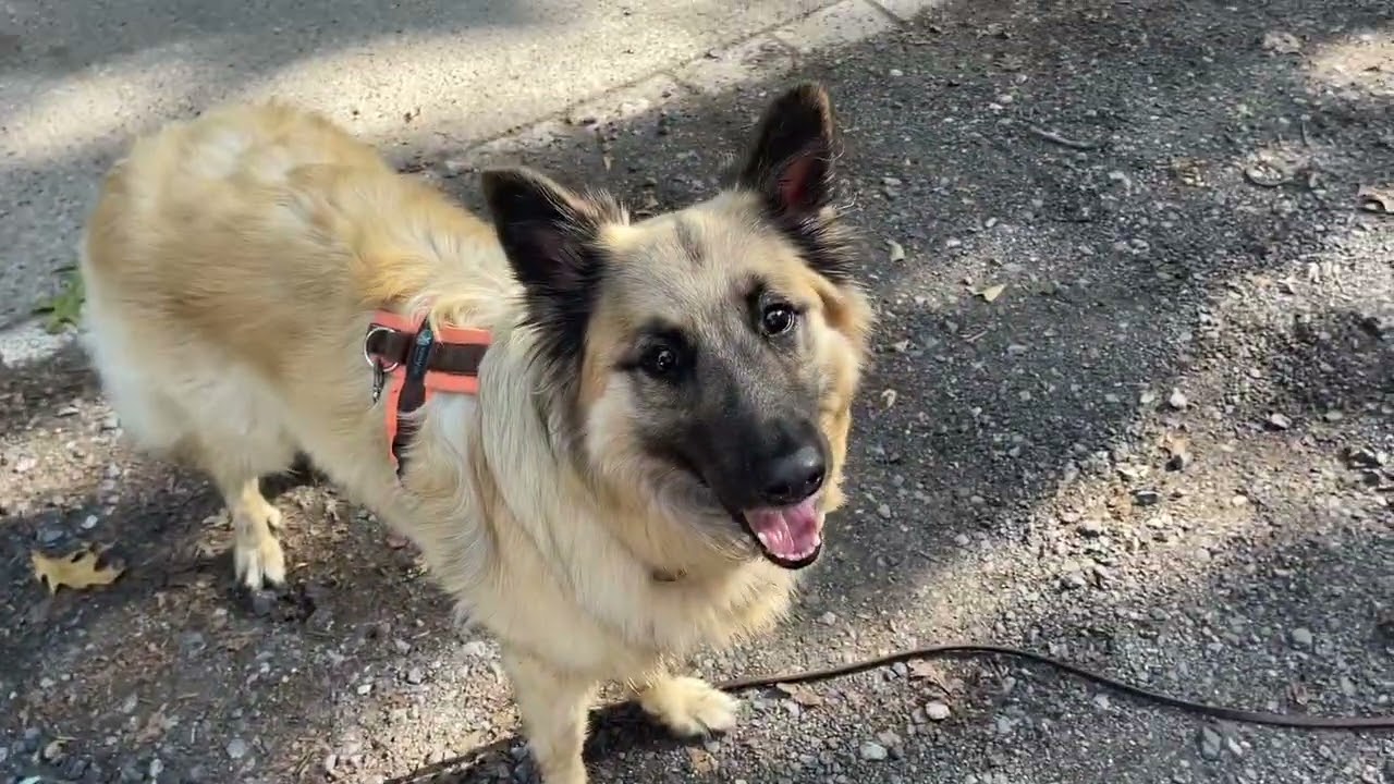 Such das Auto – Spaßübung mit Köpfchen