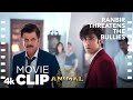 ANIMAL Movie Scene Ranbir Threatens The Bullies Car Chase Ranbir K Anil K Sandeep V Bhushan K