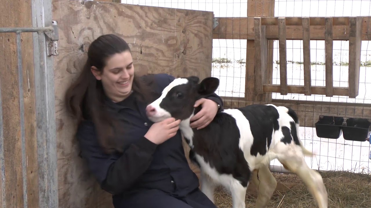 Video preview thumbnail