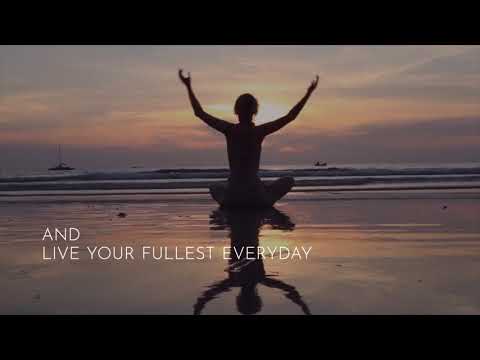 LyfeFuel Post Workout Shake - Clean Vegan Protein Post Workout Recovery Drink