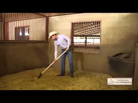 Cleaning a Stall - Reed Kyle