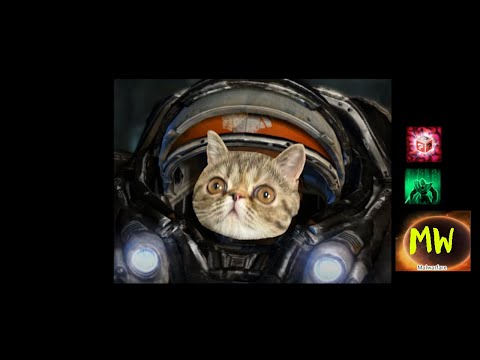 #119: Bannable Offense - Raynor Solo (p0) [Starcraft 2 Co-op Mutation]