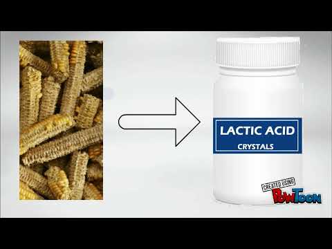 LACTIC ACID PRODUCTION FROM CORNCOBS