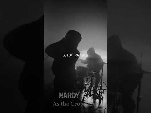 NARDY - As The Crow Flies #shorts #newmetal #metalcore #metalmusic #emo #musicvideo