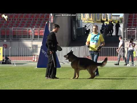 1102 Tazio v  Webachtal - TSB BSZS-2023