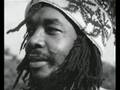 Peter Tosh - Reggae Mylitis