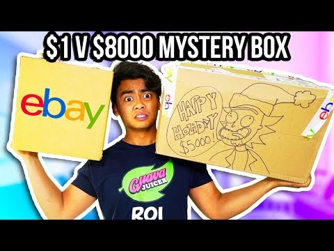$1 VS $8000 EBAY MYSTERY BOX!