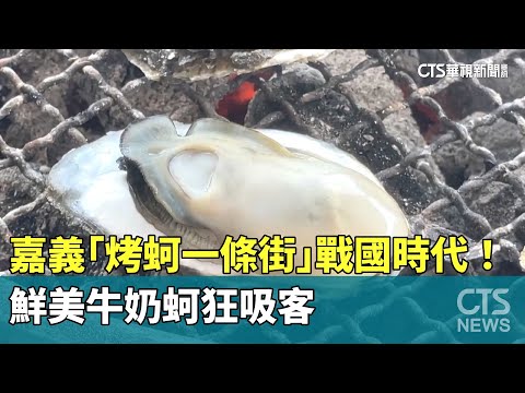 嘉義「烤蚵一條街」戰國時代！　鮮美牛奶蚵狂吸客