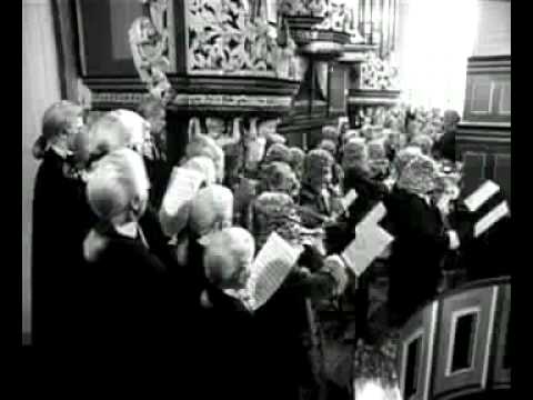 Rubinoff - Video Example 3