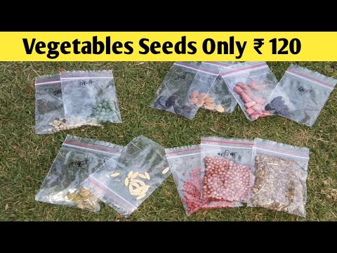 Best seeds for summer vegetables