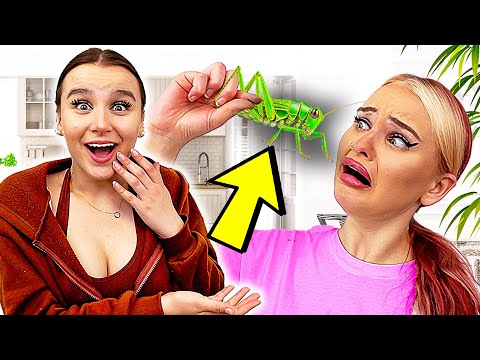 Schwester muss INSEKTEN ESSEN für 500€  ! 🐛😳 ( so eklig ) - Celina