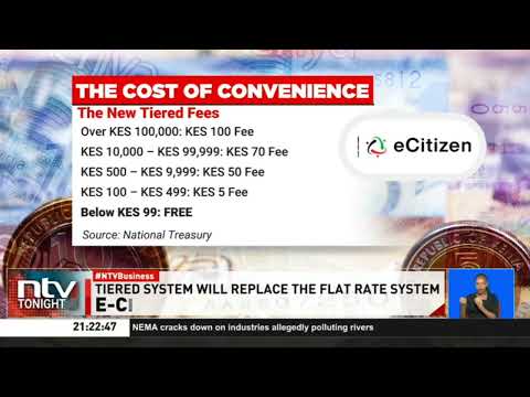 Government moves to double controversial e-Citizen convenience fee