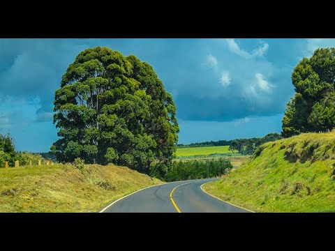Meru-Nanyuki Highway Through Mt. Kenya Forest Near Sacred ...